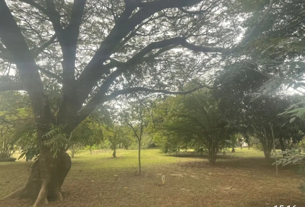 Chácara, 4 quartos, 5000 m² - Foto 6