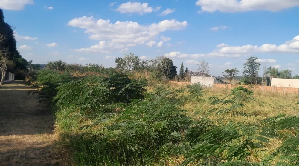 Chácara, 5000 m² - Foto 2