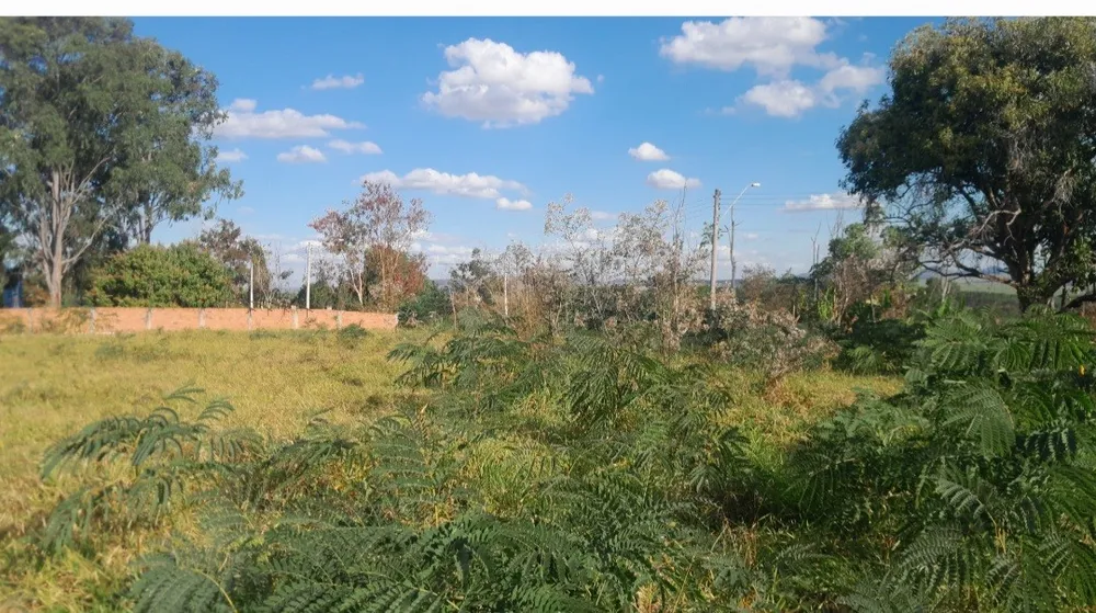 Chácara, 5000 m² - Foto 3