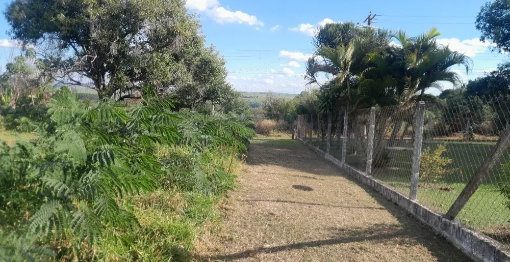 Chácara, 5000 m² - Foto 5