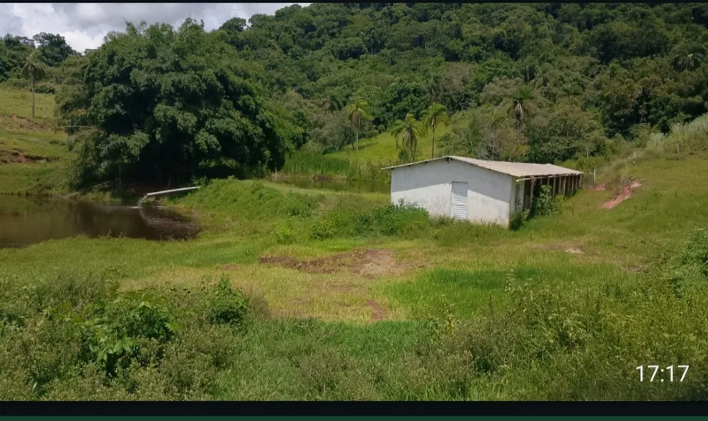 Fazenda, 73 hectares - Foto 4