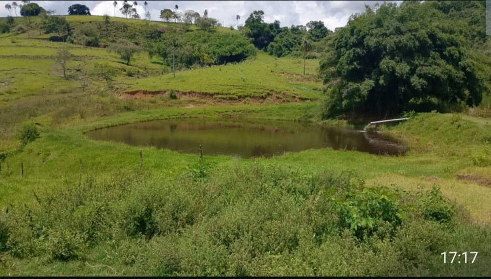 Fazenda, 73 hectares - Foto 1