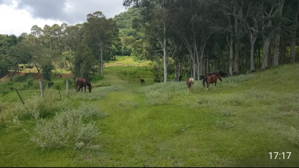 Fazenda, 73 hectares - Foto 5