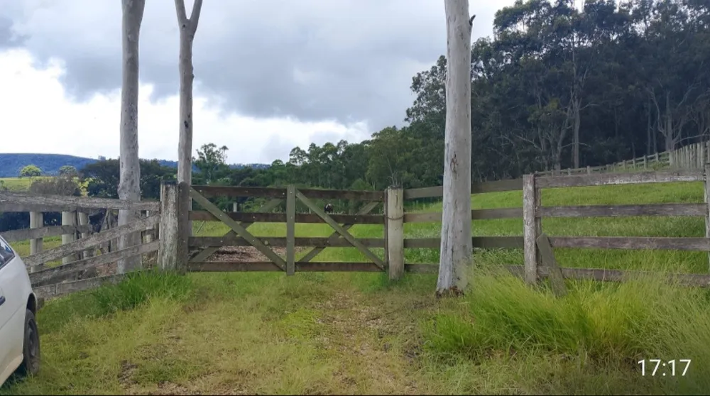 Sítio, 3 quartos, 73 hectares - Foto 9