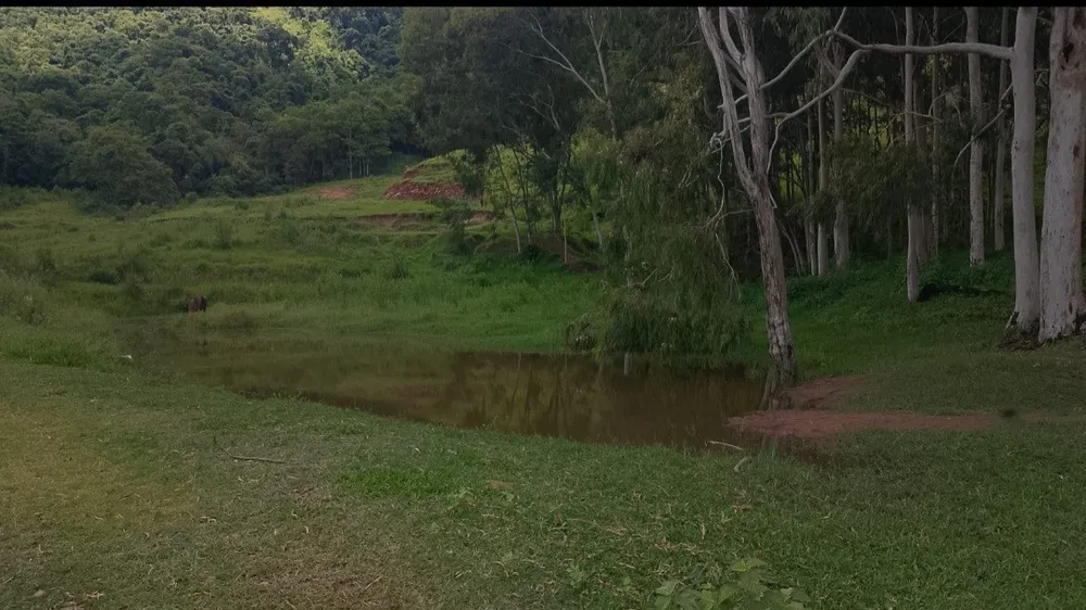 Fazenda, 73 hectares - Foto 8