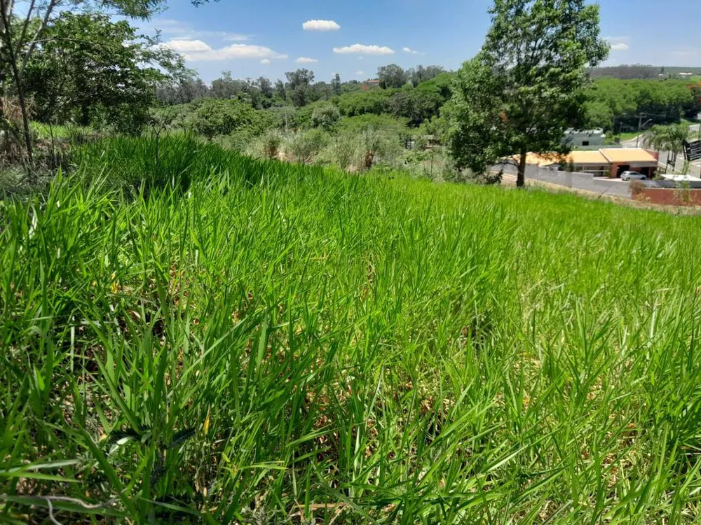 Terreno, 502 m² - Foto 4