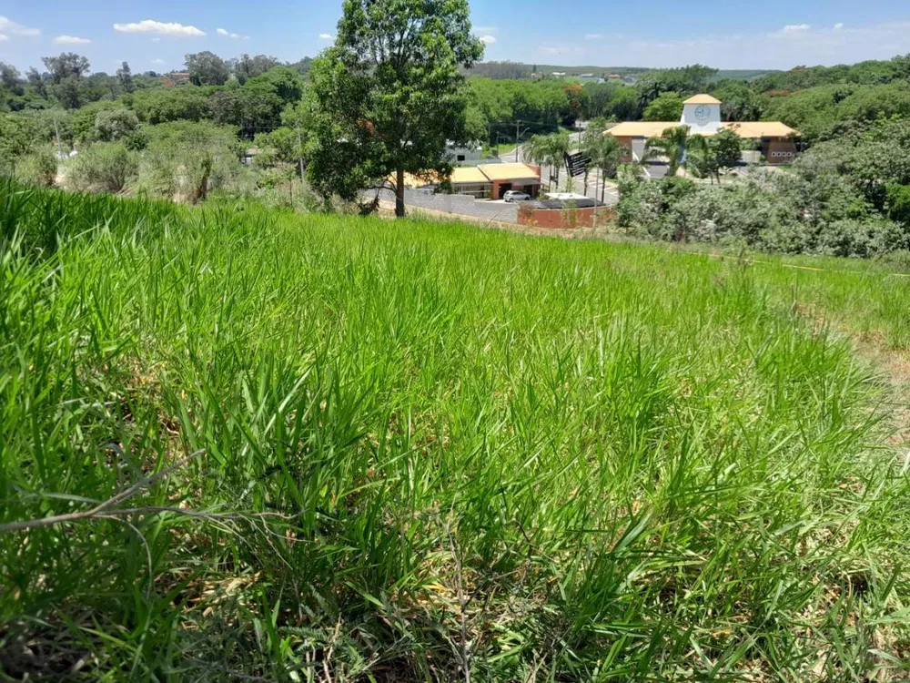 Terreno, 502 m² - Foto 7