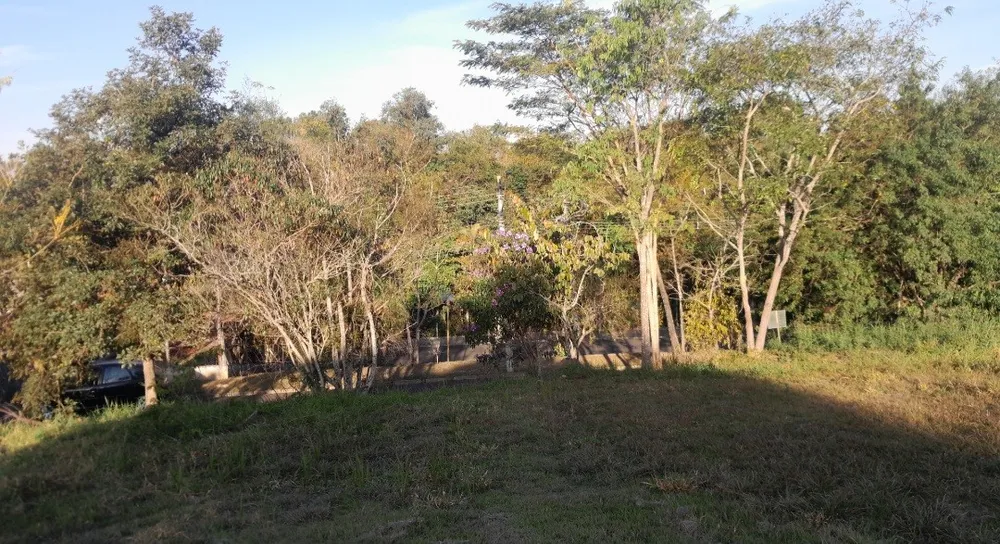 Terreno, 500 m² - Foto 5