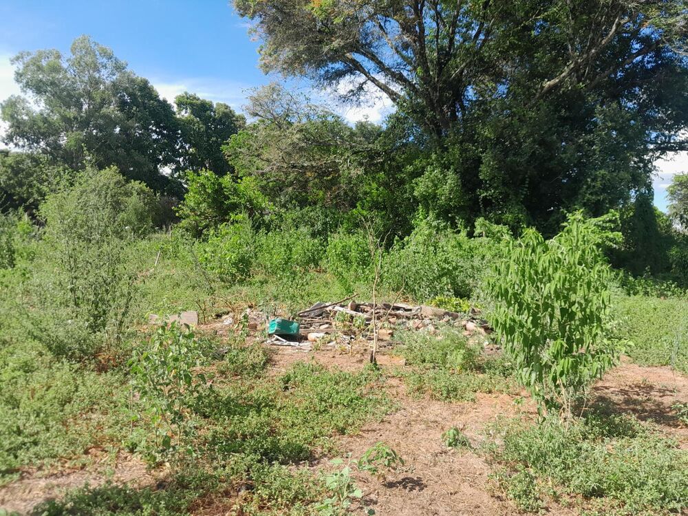 Terreno à venda, 3000m² - Foto 3