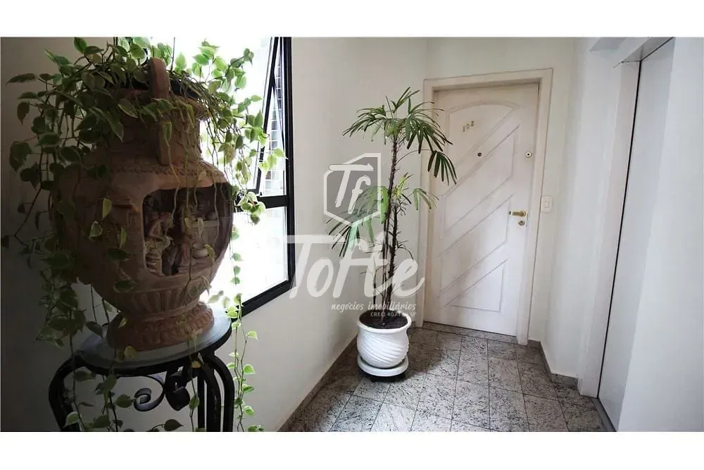 Apartamento, 3 quartos, 85 m² - Foto 2