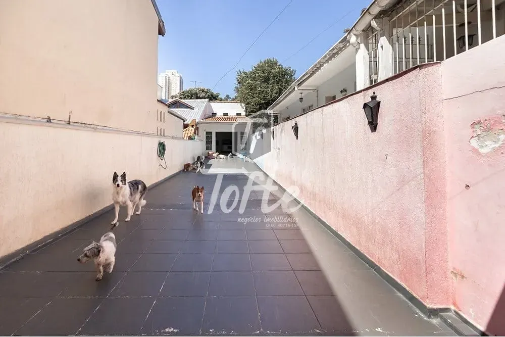Casa, 1 quarto, 224 m² - Foto 3