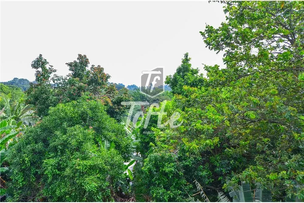 Casa, 4 quartos, 270 m² - Foto 4