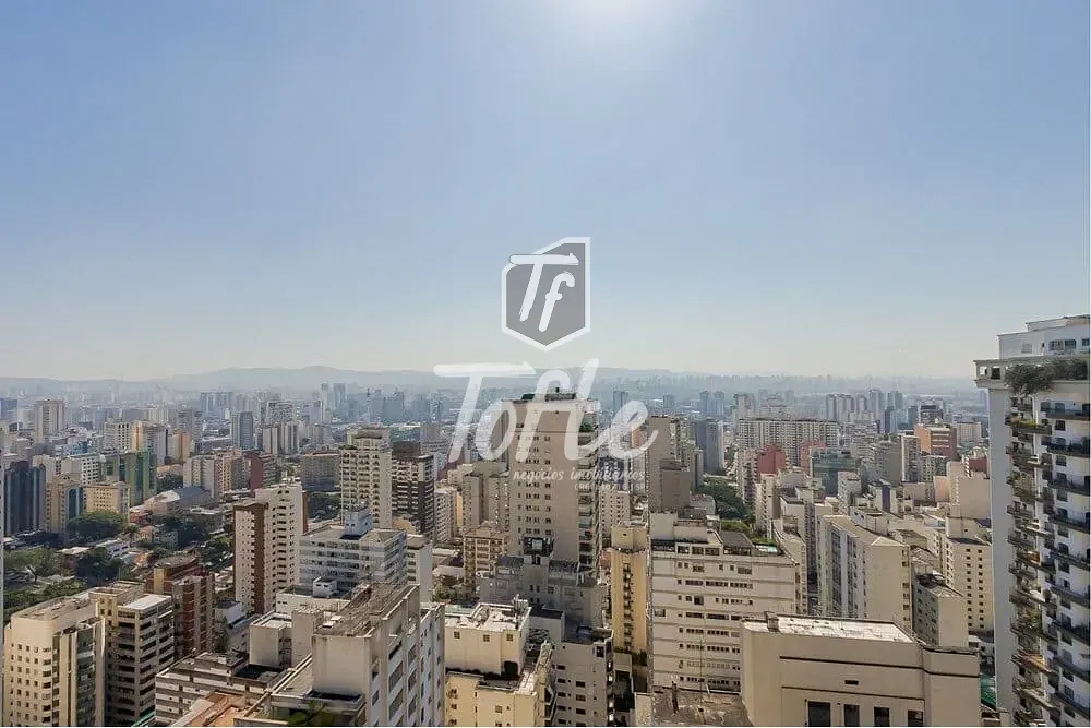 Apartamento, 3 quartos, 305 m² - Foto 3