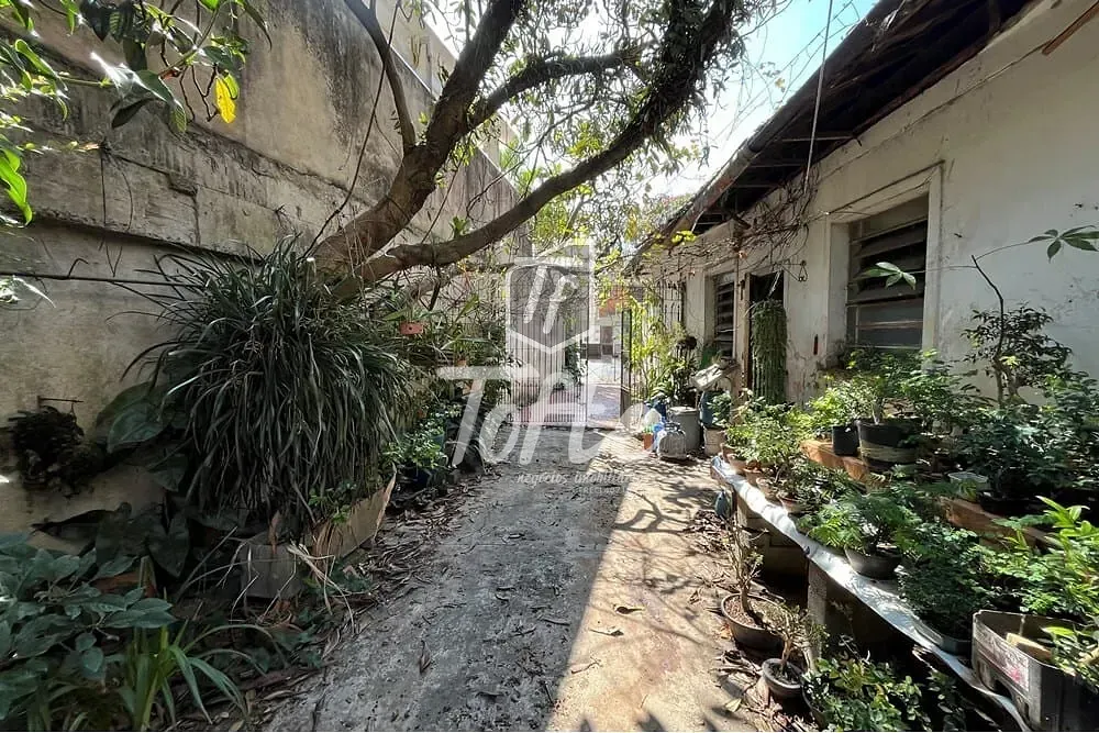 Casa, 1 quarto, 266 m² - Foto 2