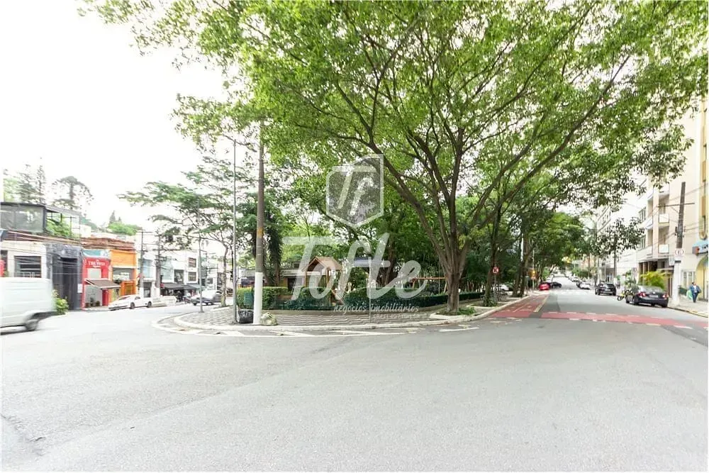 Apartamento, 3 quartos, 248 m² - Foto 3