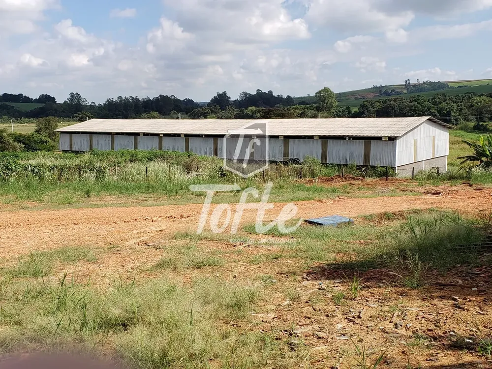 Depósito-Galpão, 13740 m² - Foto 2