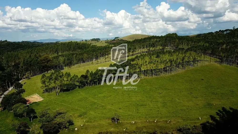 Fazenda, 315 hectares - Foto 3