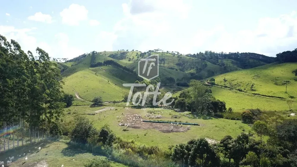 Fazenda, 315 hectares - Foto 4