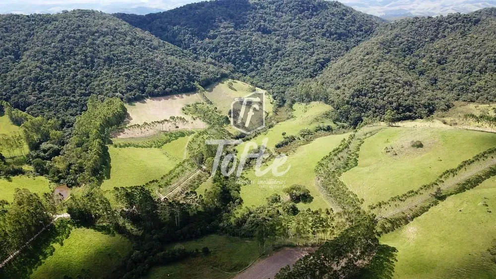 Fazenda, 315 hectares - Foto 2