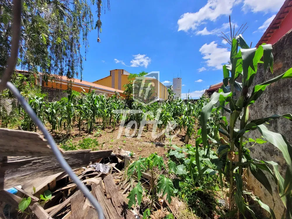 Terreno, 250 m² - Foto 1