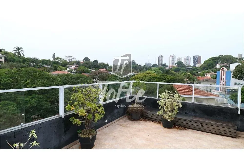 Loja-Salão, 464 m² - Foto 3