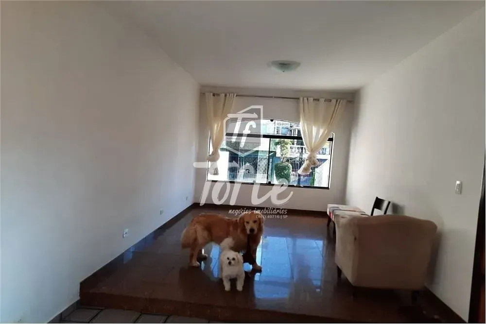 Casa, 3 quartos, 225 m² - Foto 3