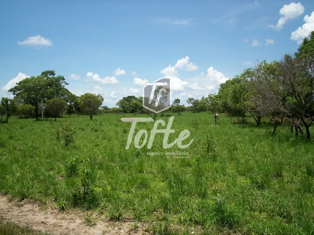 Fazenda, 9126 hectares - Foto 4