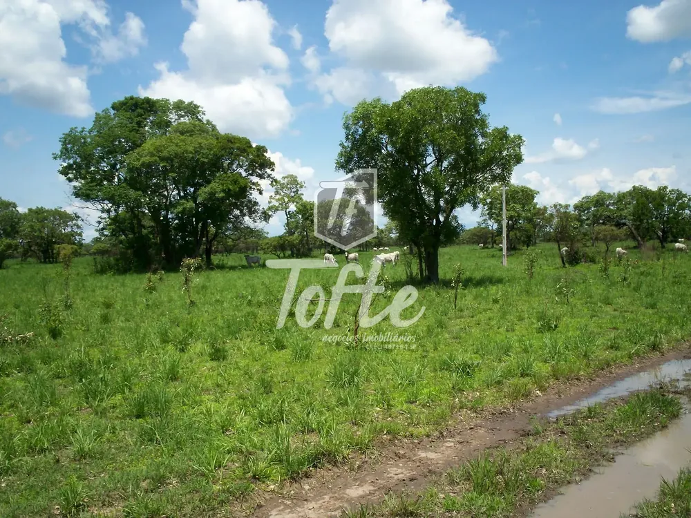 Fazenda, 9126 hectares - Foto 3