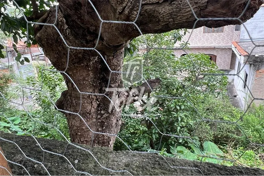 Terreno, 10 m² - Foto 4