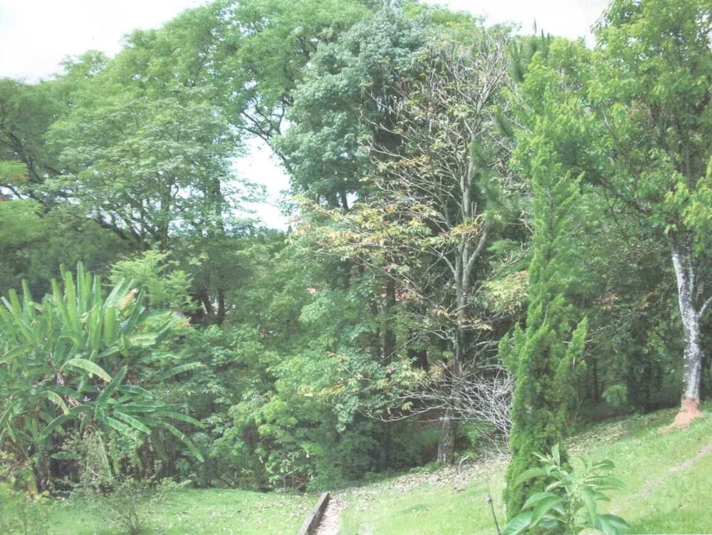 Chácara, 4 quartos, 4 hectares - Foto 2