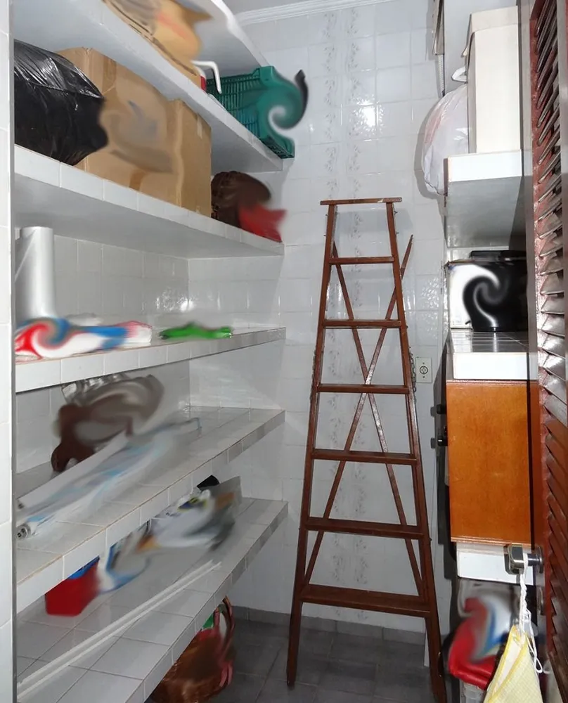 Chácara, 4 quartos, 6000 m² - Foto 10