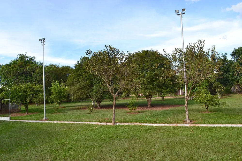 Chácara, 4 quartos, 6000 m² - Foto 11