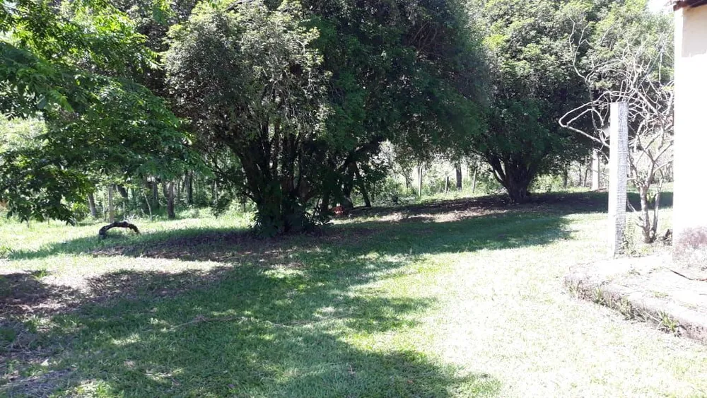 Sítio, 3 quartos, 10 hectares - Foto 3