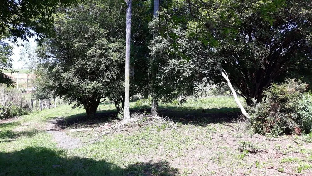 Sítio, 3 quartos, 10 hectares - Foto 1