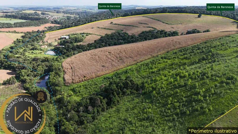 Terreno, 38 hectares - Foto 1