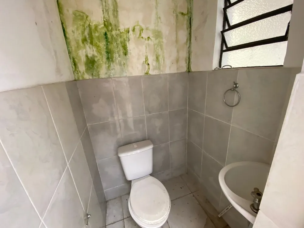 Prédio Inteiro, 273 m² - Foto 3