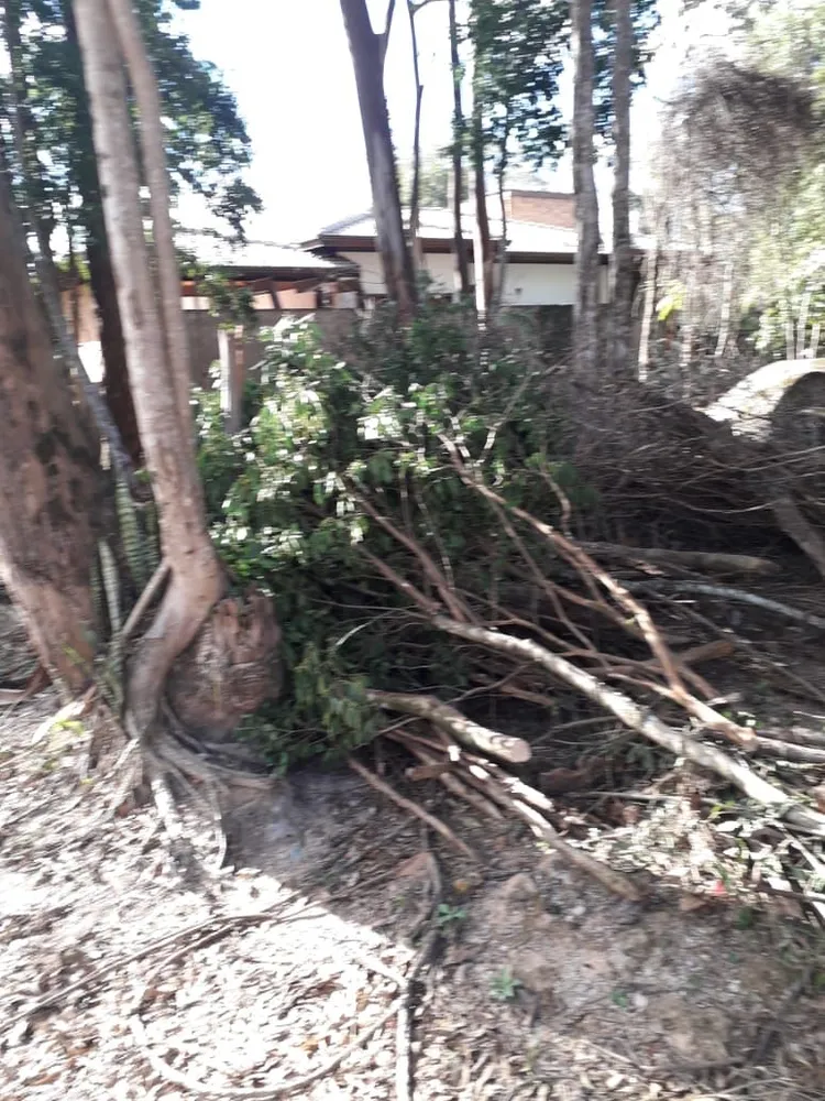 Terreno, 1000 m² - Foto 2
