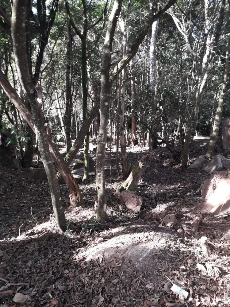 Terreno, 1000 m² - Foto 6