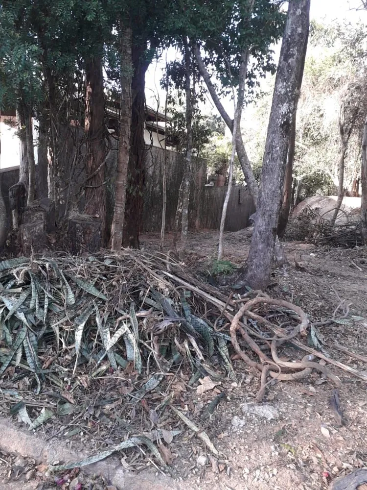 Terreno, 1000 m² - Foto 5