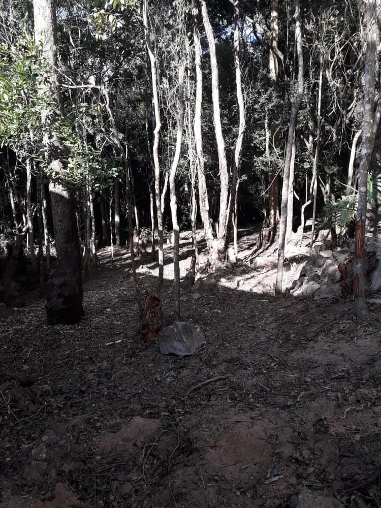 Terreno, 1000 m² - Foto 4
