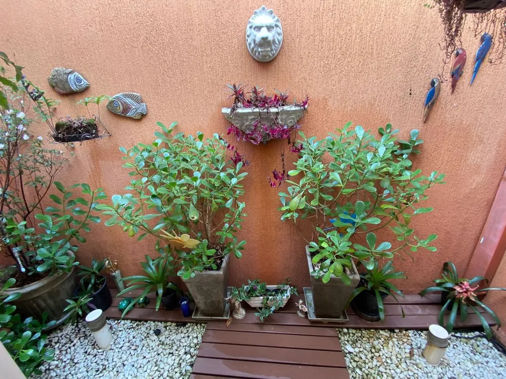 Casa, 3 quartos, 250 m² - Foto 2