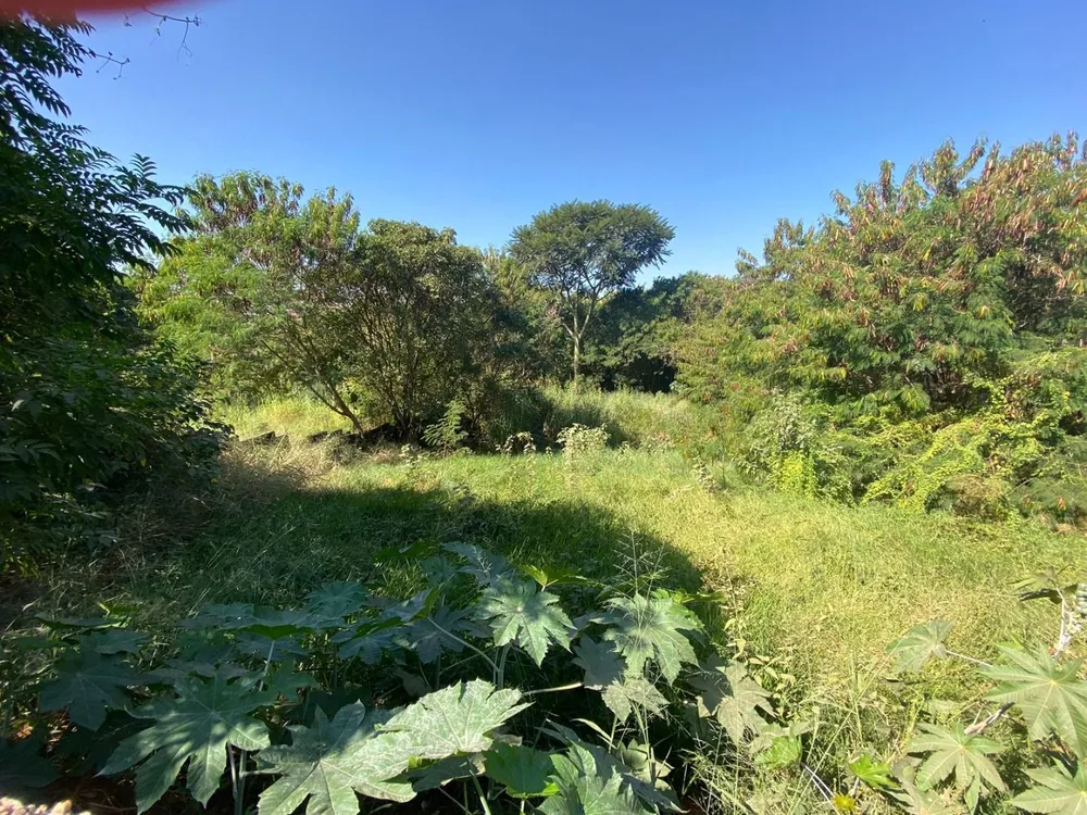 Terreno, 2337 m² - Foto 1