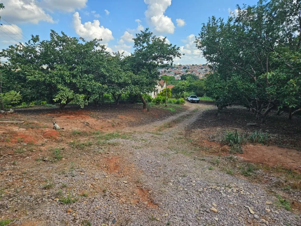 Chácara, 2 quartos, 3 hectares - Foto 4