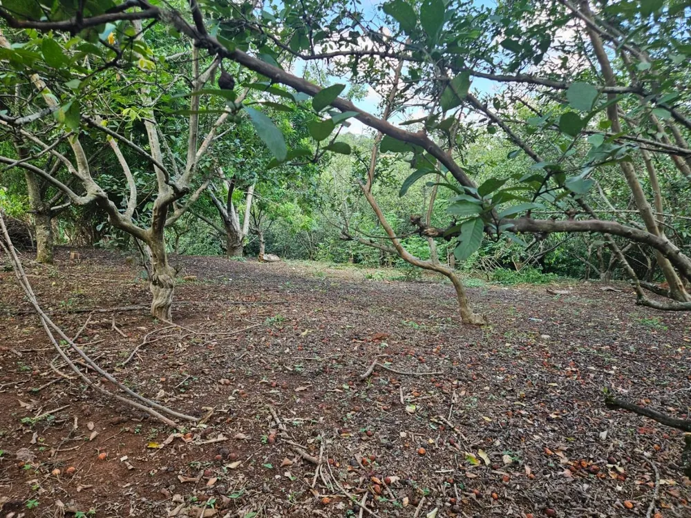 Chácara, 2 quartos, 3 hectares - Foto 8