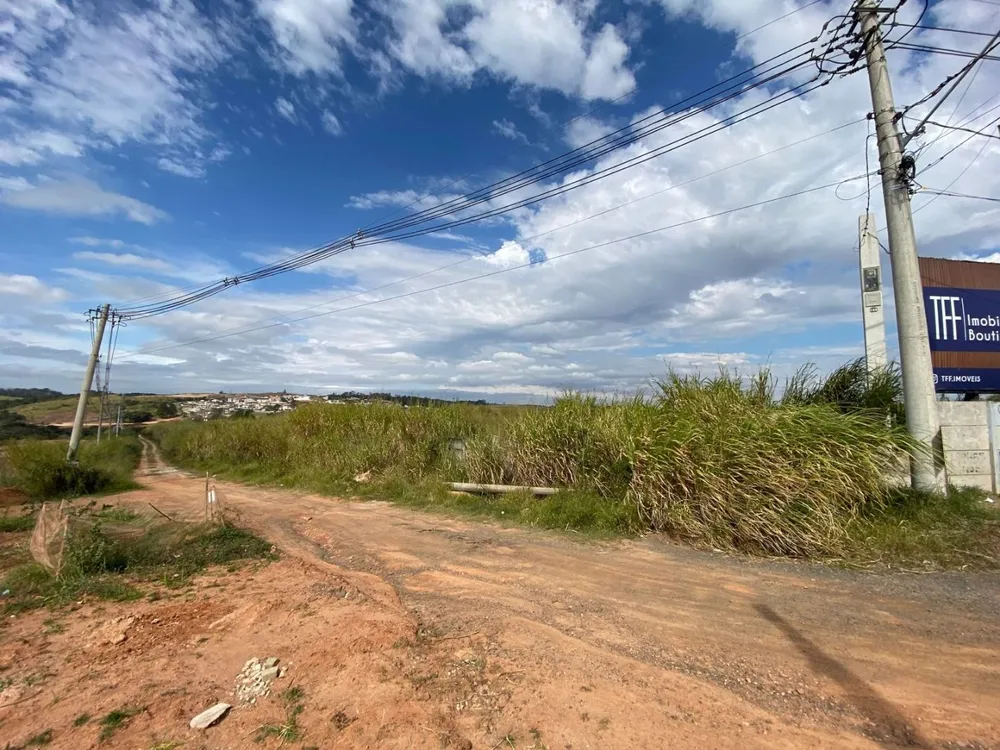 Terreno, 2 hectares - Foto 6