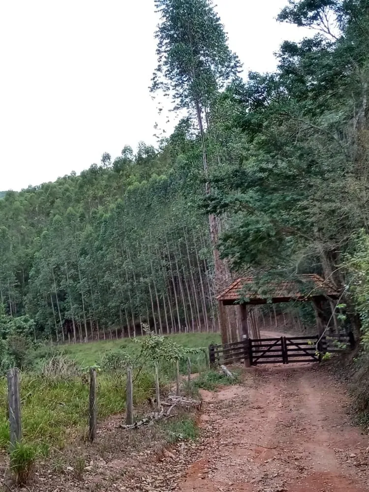 Fazenda, 122 hectares - Foto 6