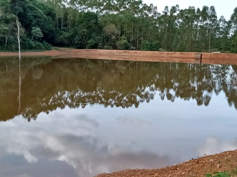 Fazenda, 122 hectares - Foto 6