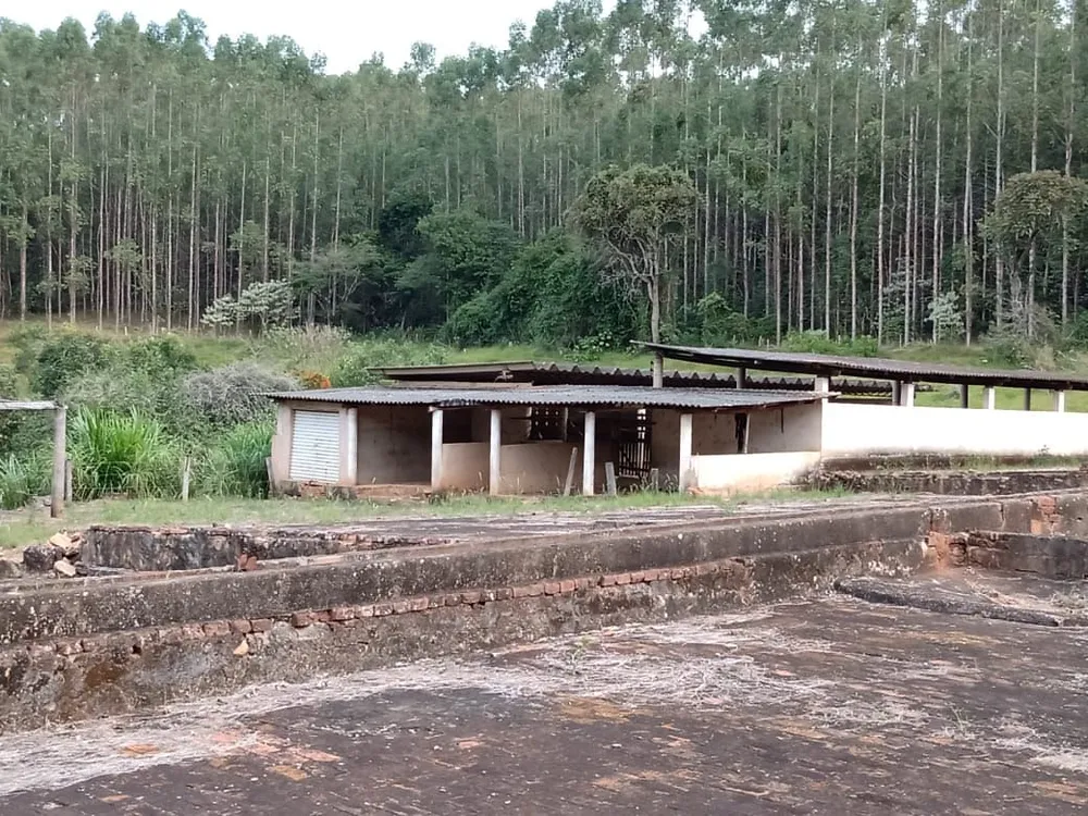 Fazenda, 122 hectares - Foto 7