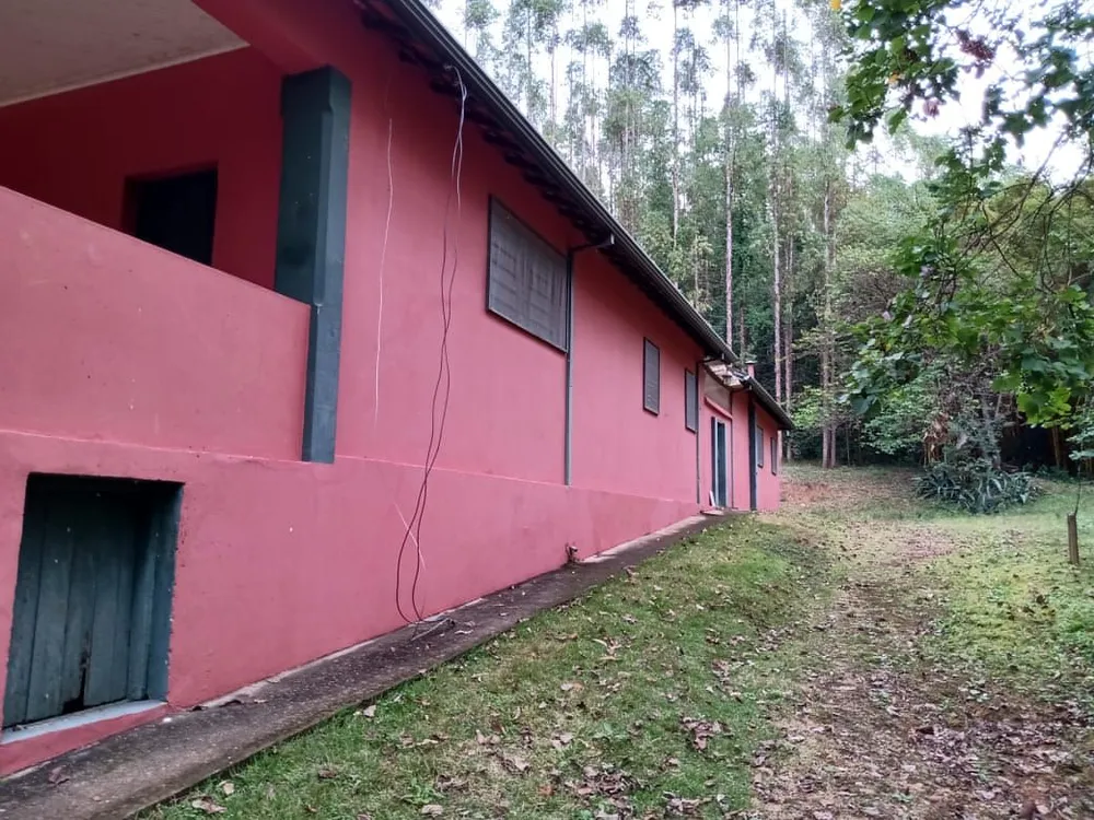 Fazenda, 122 hectares - Foto 8