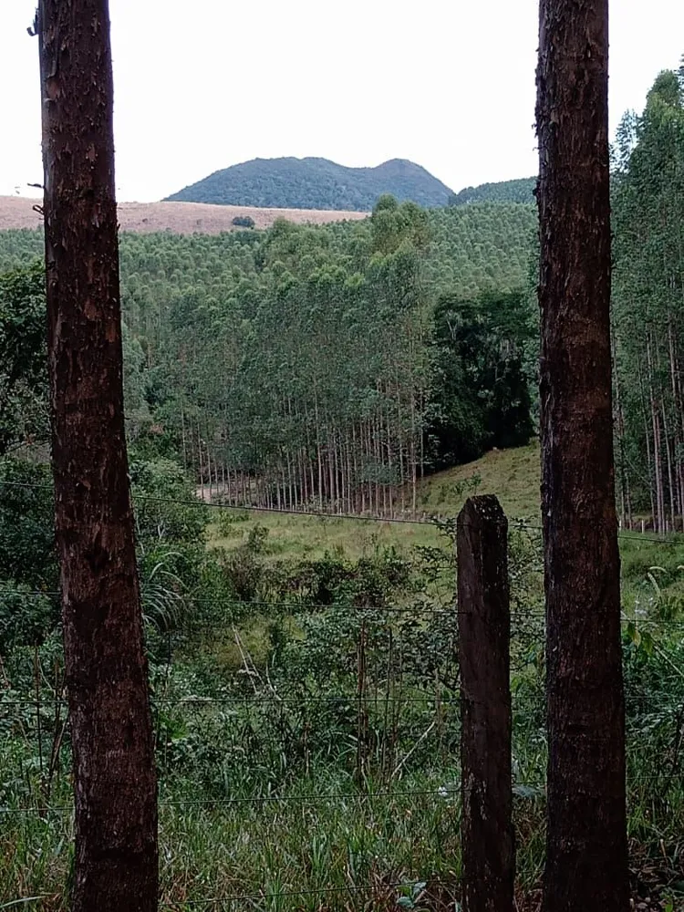 Fazenda, 122 hectares - Foto 10